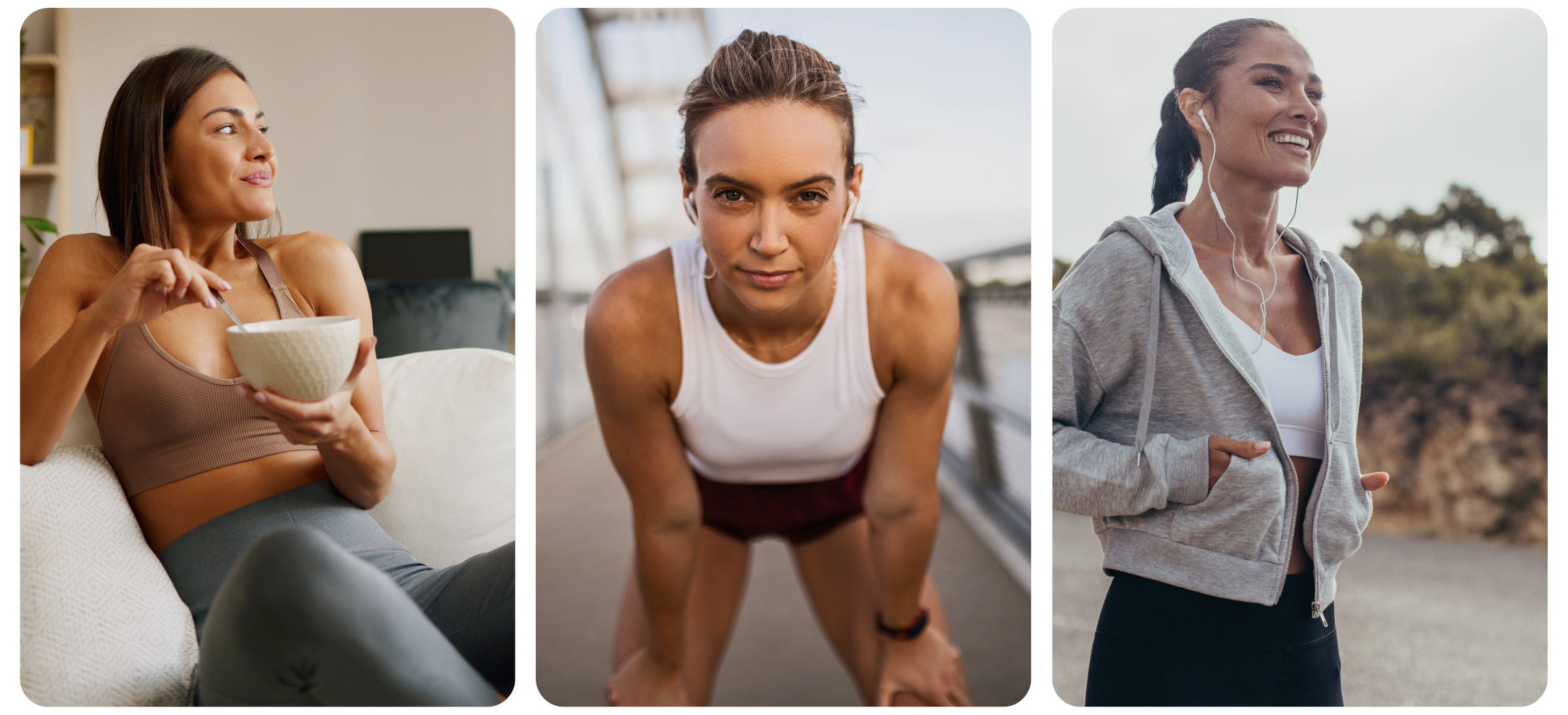 How the Rewire program is structured